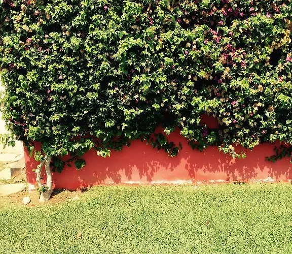 Playa Sol * デニア